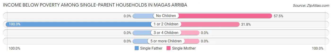 Income Below Poverty Among Single-Parent Households in Magas Arriba