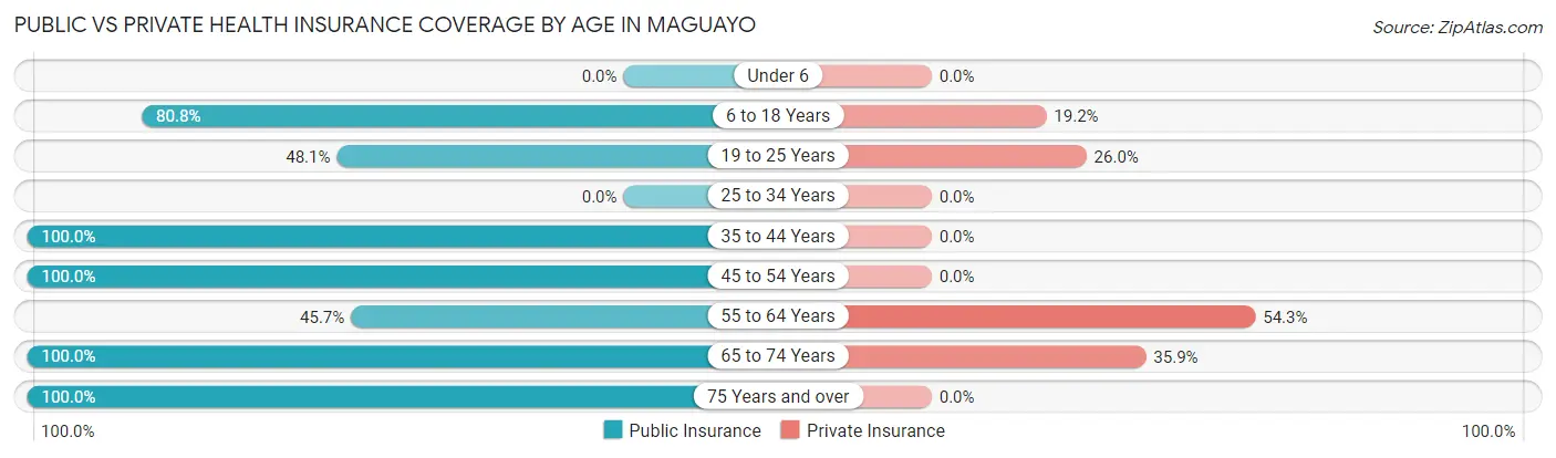 Public vs Private Health Insurance Coverage by Age in Maguayo