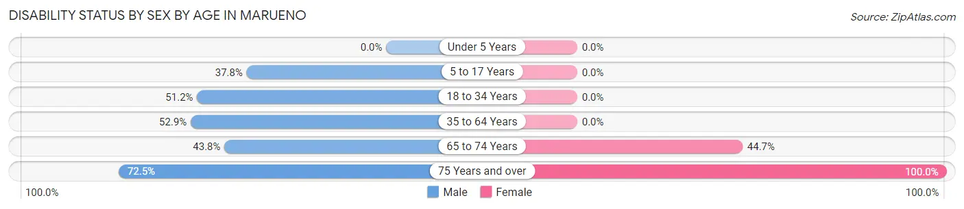 Disability Status by Sex by Age in Marueno