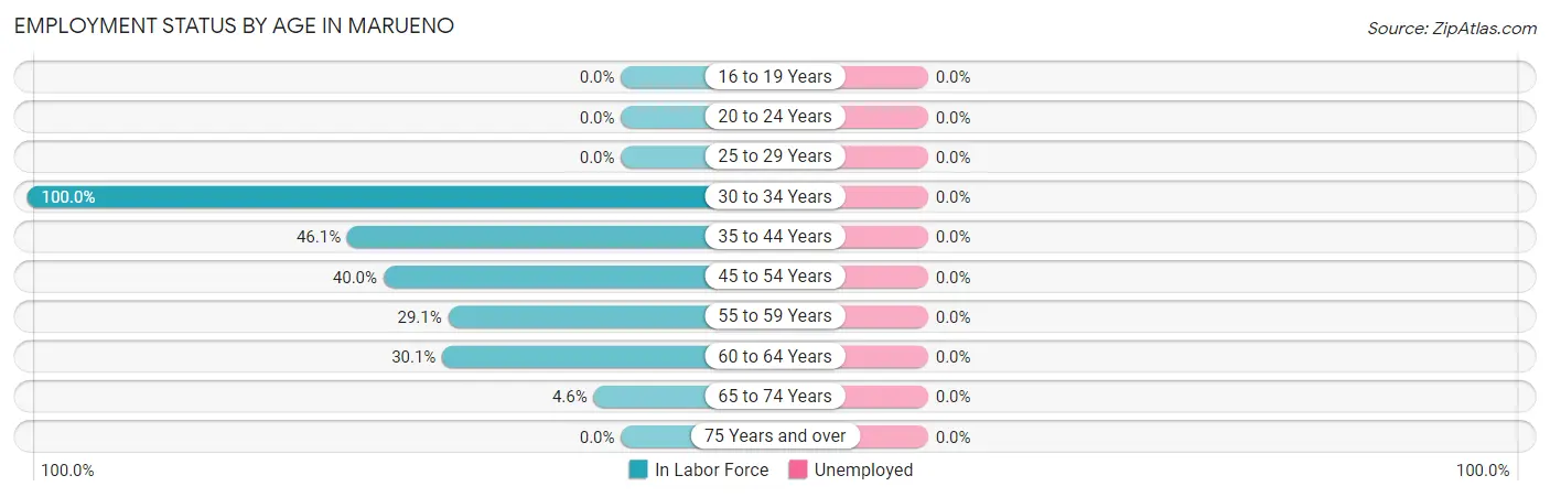 Employment Status by Age in Marueno