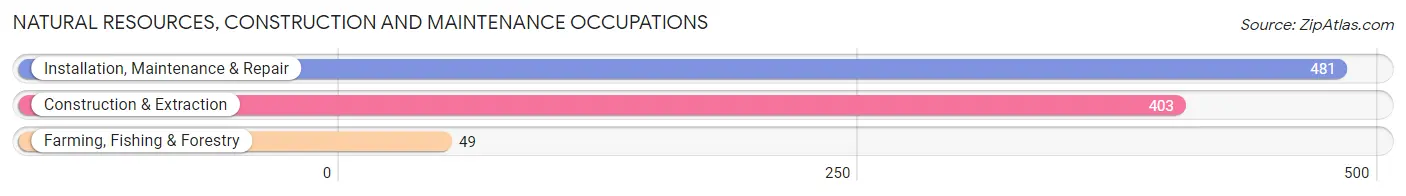 Natural Resources, Construction and Maintenance Occupations in Mayaguez