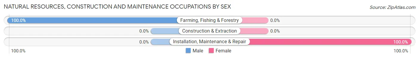 Natural Resources, Construction and Maintenance Occupations by Sex in Miranda