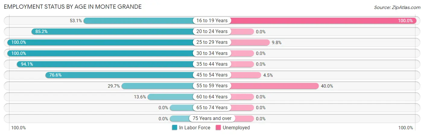 Employment Status by Age in Monte Grande
