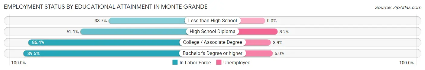 Employment Status by Educational Attainment in Monte Grande