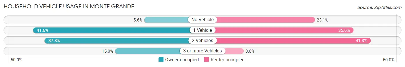 Household Vehicle Usage in Monte Grande