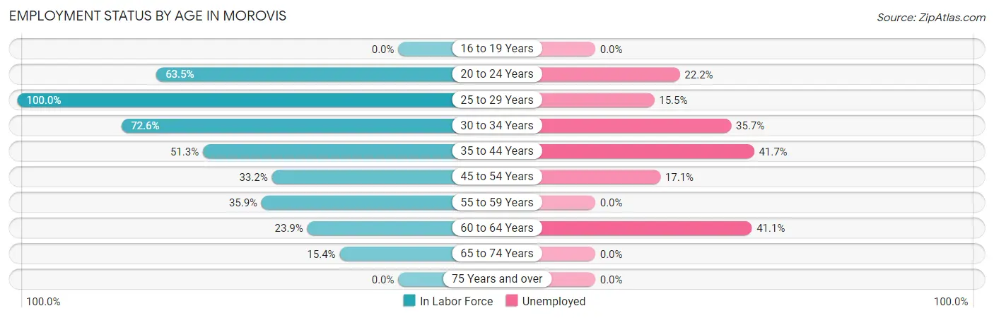 Employment Status by Age in Morovis