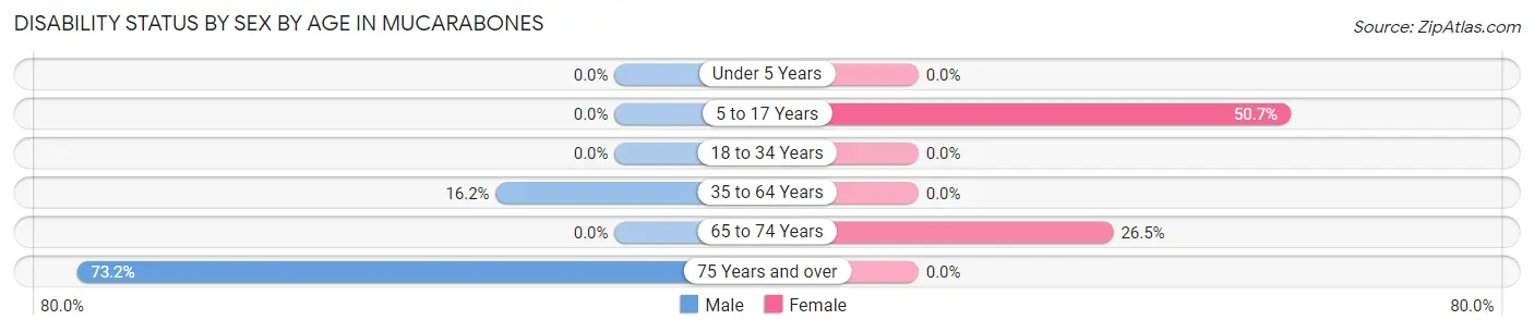 Disability Status by Sex by Age in Mucarabones