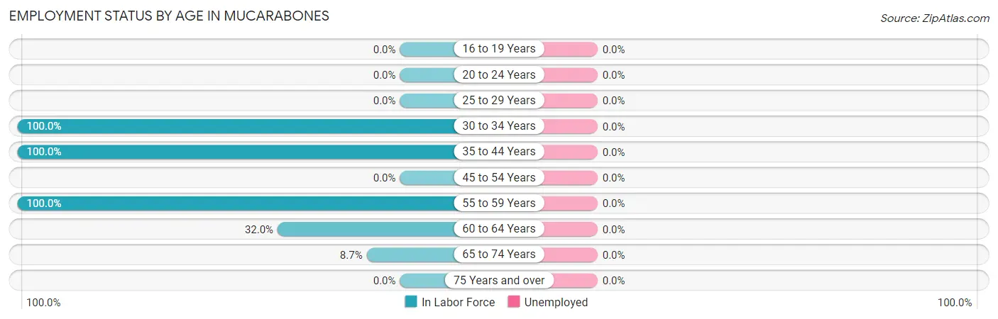 Employment Status by Age in Mucarabones
