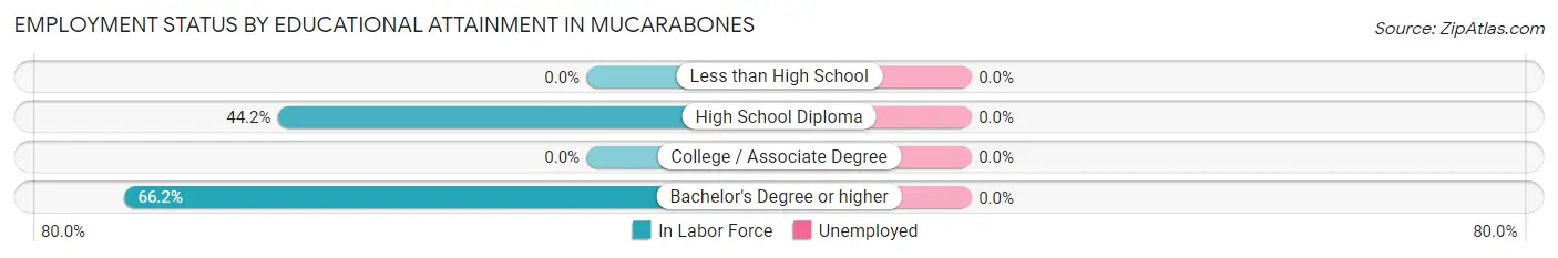 Employment Status by Educational Attainment in Mucarabones