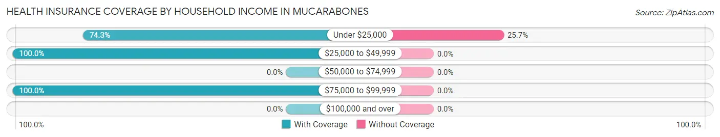 Health Insurance Coverage by Household Income in Mucarabones