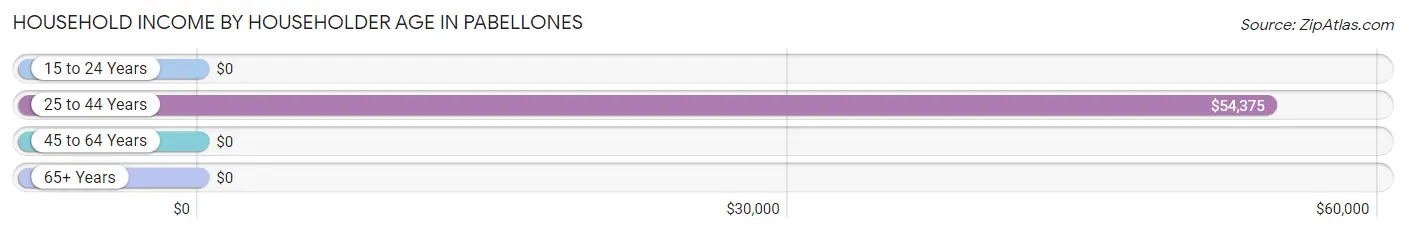 Household Income by Householder Age in Pabellones