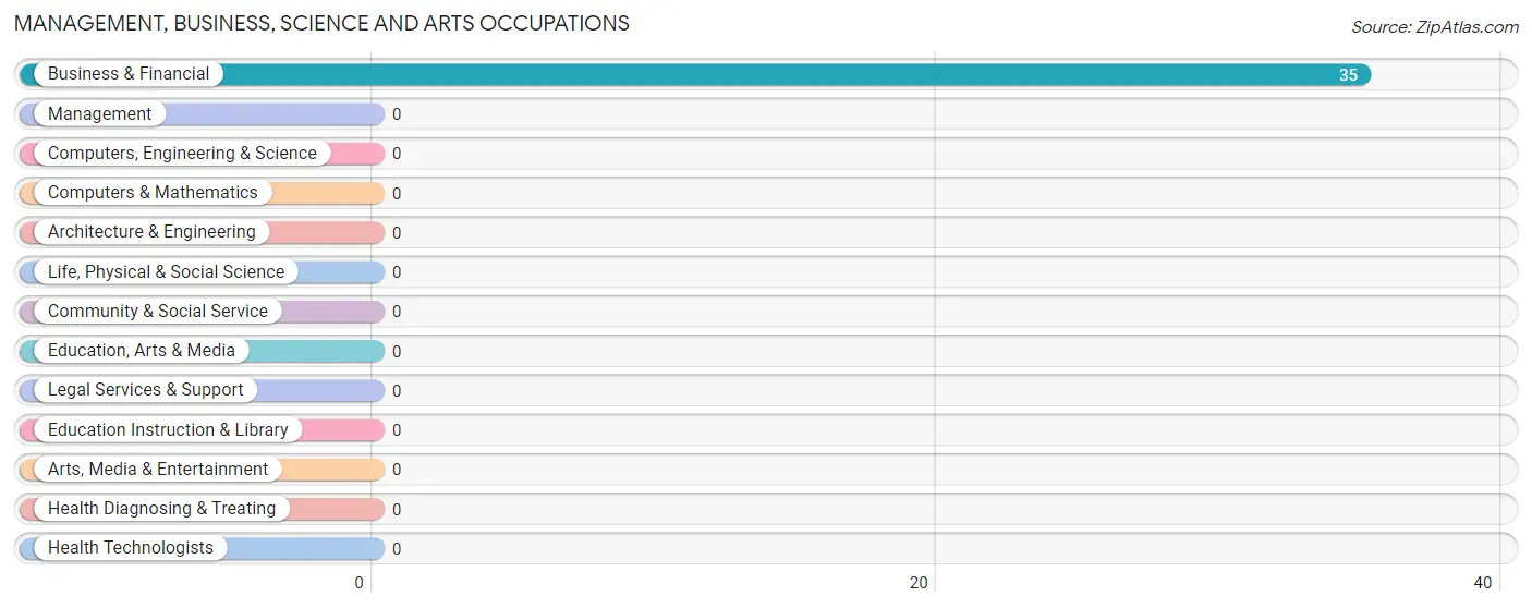 Management, Business, Science and Arts Occupations in Pabellones