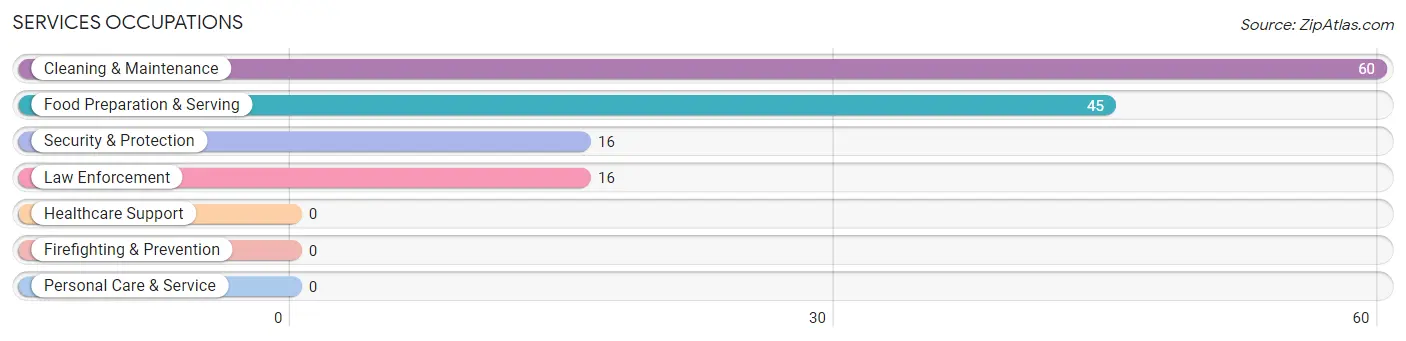 Services Occupations in Pabellones