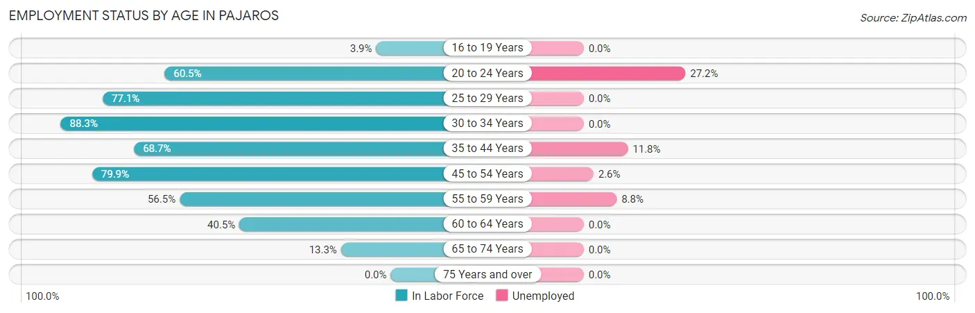Employment Status by Age in Pajaros