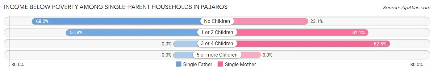 Income Below Poverty Among Single-Parent Households in Pajaros