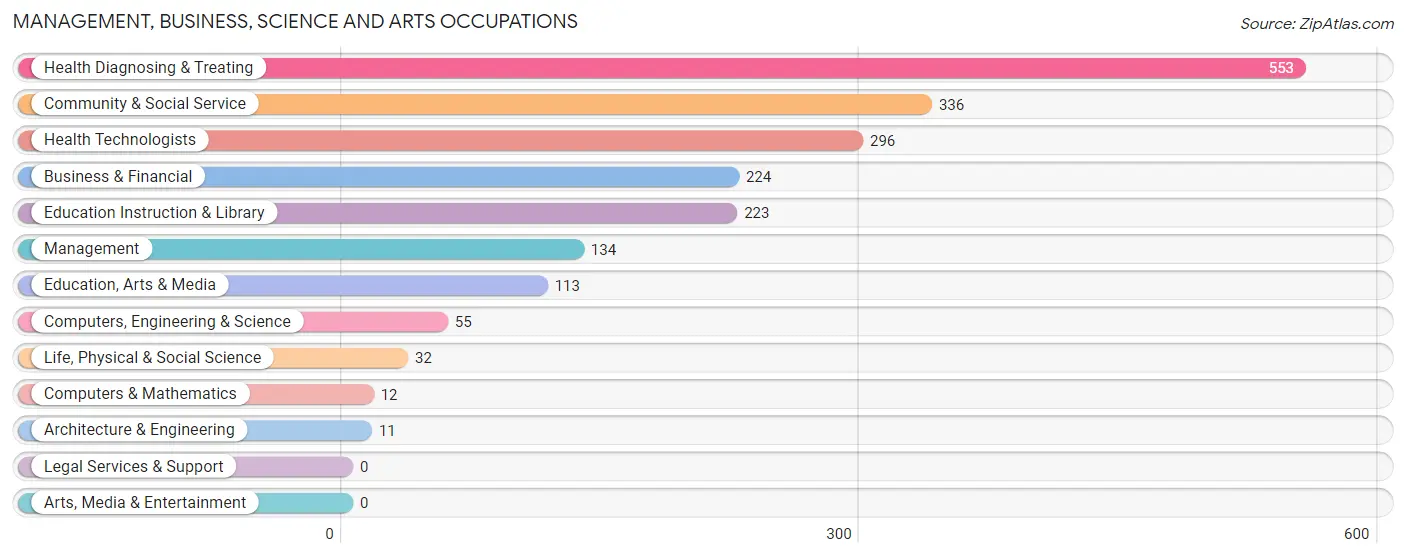 Management, Business, Science and Arts Occupations in Pajaros