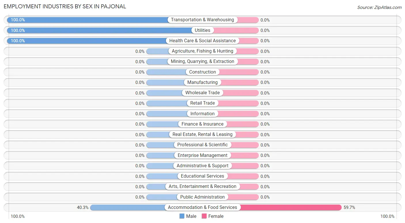 Employment Industries by Sex in Pajonal