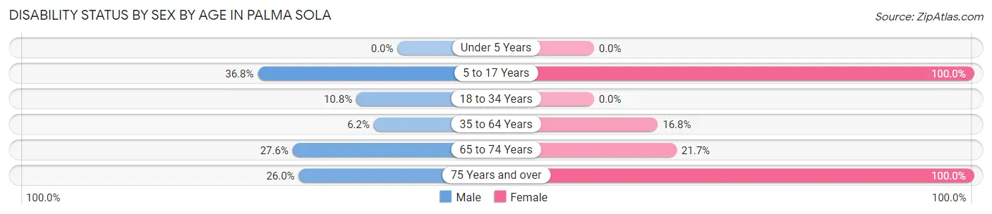Disability Status by Sex by Age in Palma Sola