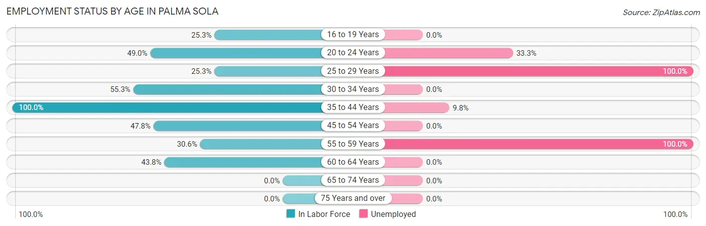 Employment Status by Age in Palma Sola
