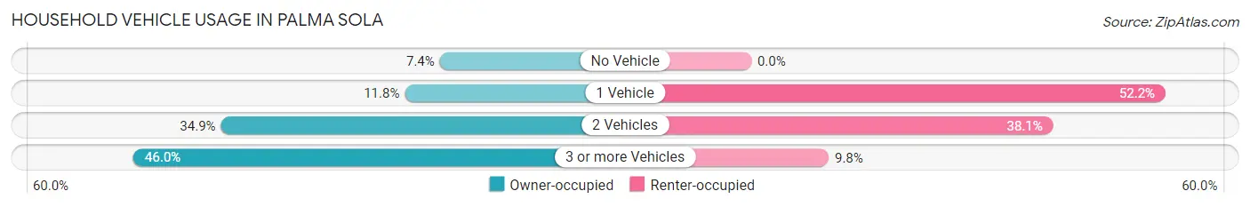 Household Vehicle Usage in Palma Sola