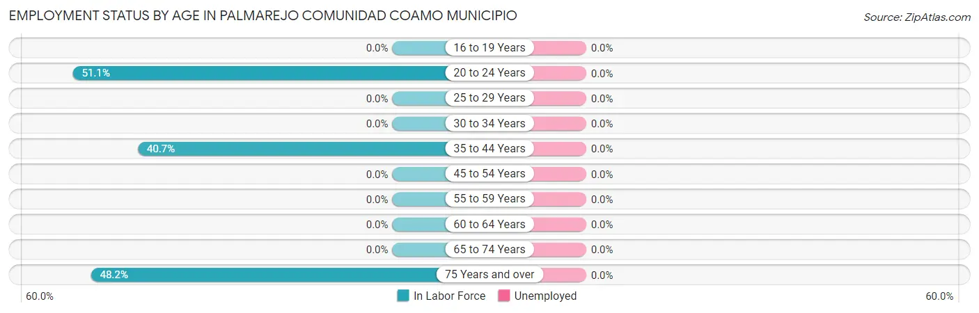 Employment Status by Age in Palmarejo comunidad Coamo Municipio