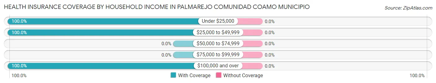 Health Insurance Coverage by Household Income in Palmarejo comunidad Coamo Municipio