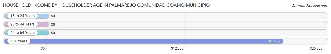 Household Income by Householder Age in Palmarejo comunidad Coamo Municipio