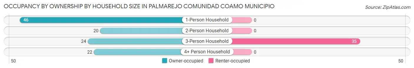 Occupancy by Ownership by Household Size in Palmarejo comunidad Coamo Municipio