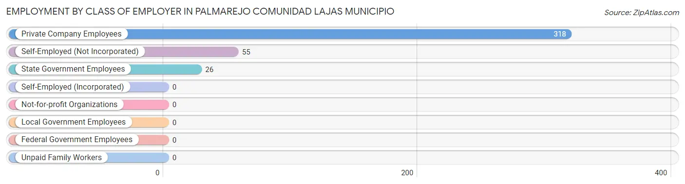 Employment by Class of Employer in Palmarejo comunidad Lajas Municipio