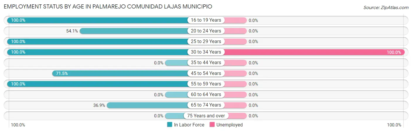 Employment Status by Age in Palmarejo comunidad Lajas Municipio