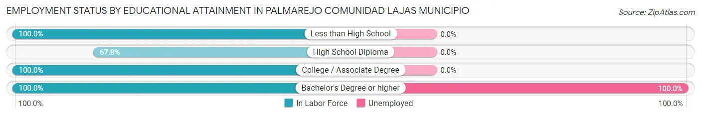 Employment Status by Educational Attainment in Palmarejo comunidad Lajas Municipio