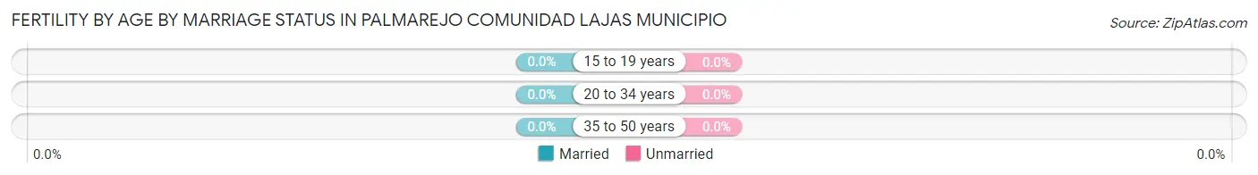 Female Fertility by Age by Marriage Status in Palmarejo comunidad Lajas Municipio