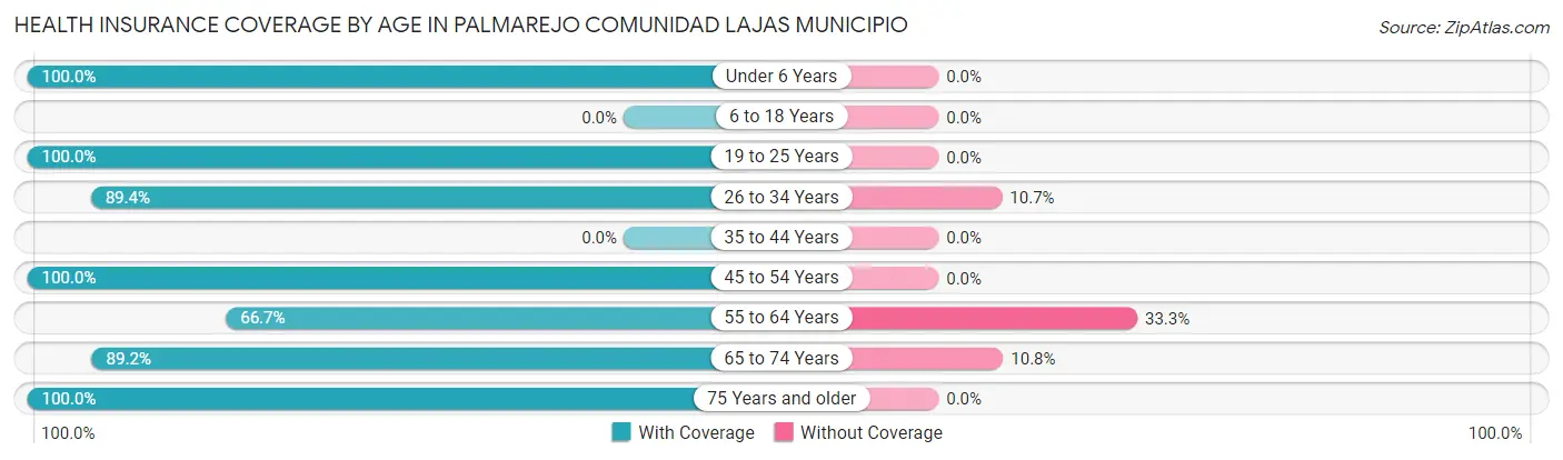 Health Insurance Coverage by Age in Palmarejo comunidad Lajas Municipio