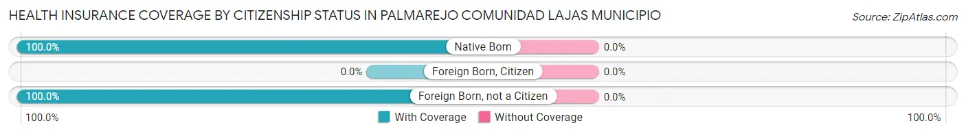 Health Insurance Coverage by Citizenship Status in Palmarejo comunidad Lajas Municipio