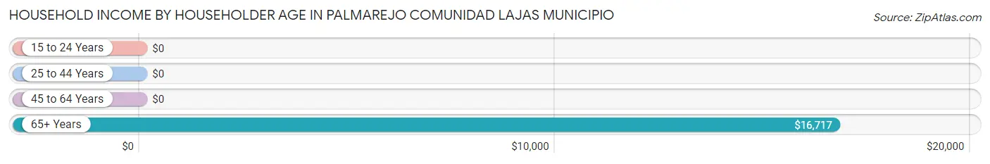 Household Income by Householder Age in Palmarejo comunidad Lajas Municipio