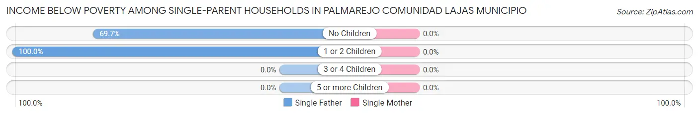 Income Below Poverty Among Single-Parent Households in Palmarejo comunidad Lajas Municipio