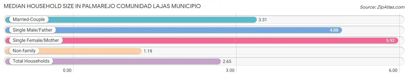 Median Household Size in Palmarejo comunidad Lajas Municipio