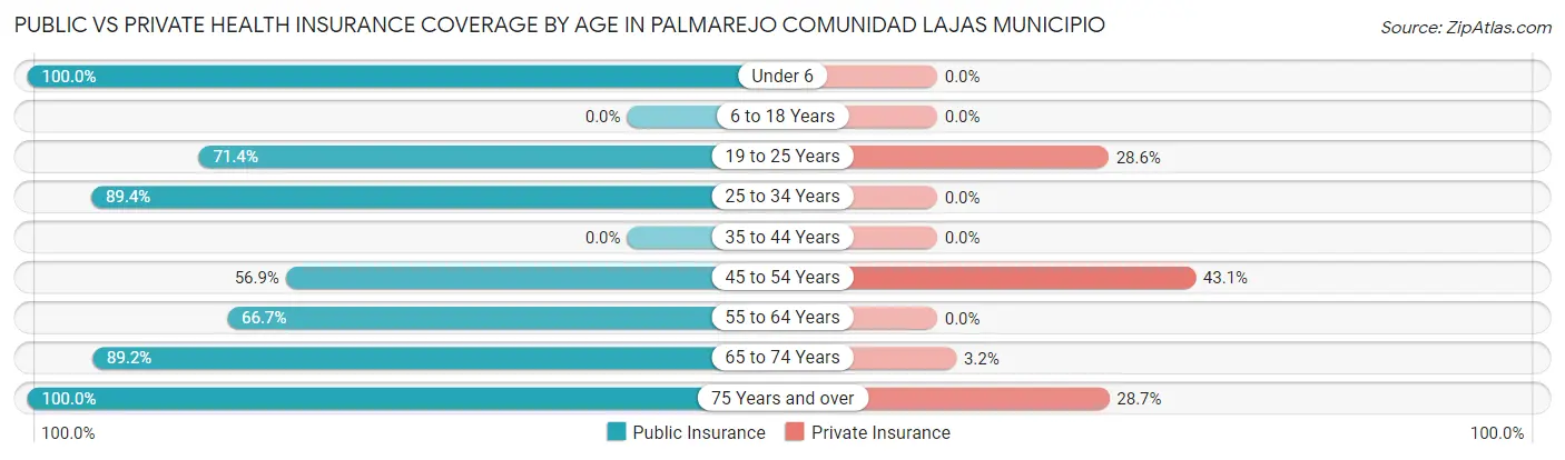 Public vs Private Health Insurance Coverage by Age in Palmarejo comunidad Lajas Municipio