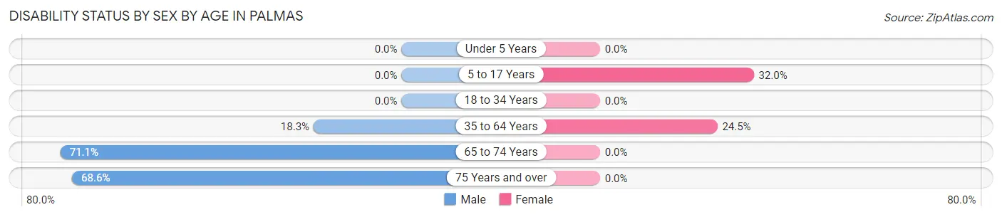 Disability Status by Sex by Age in Palmas