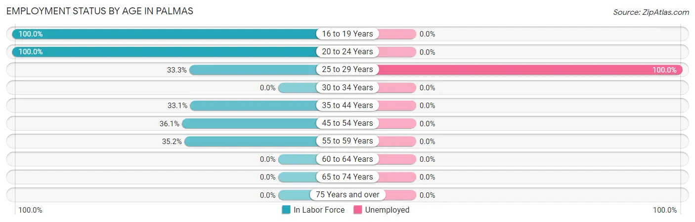 Employment Status by Age in Palmas