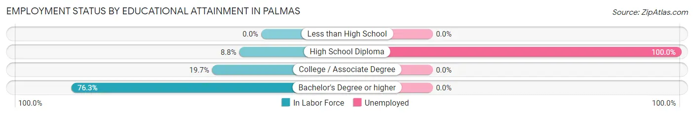 Employment Status by Educational Attainment in Palmas