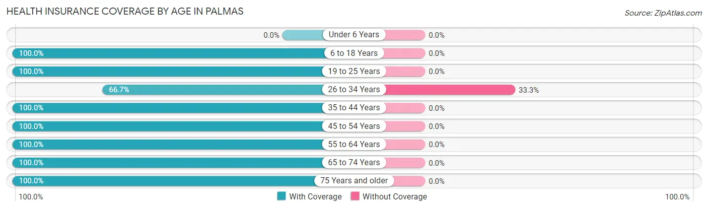 Health Insurance Coverage by Age in Palmas