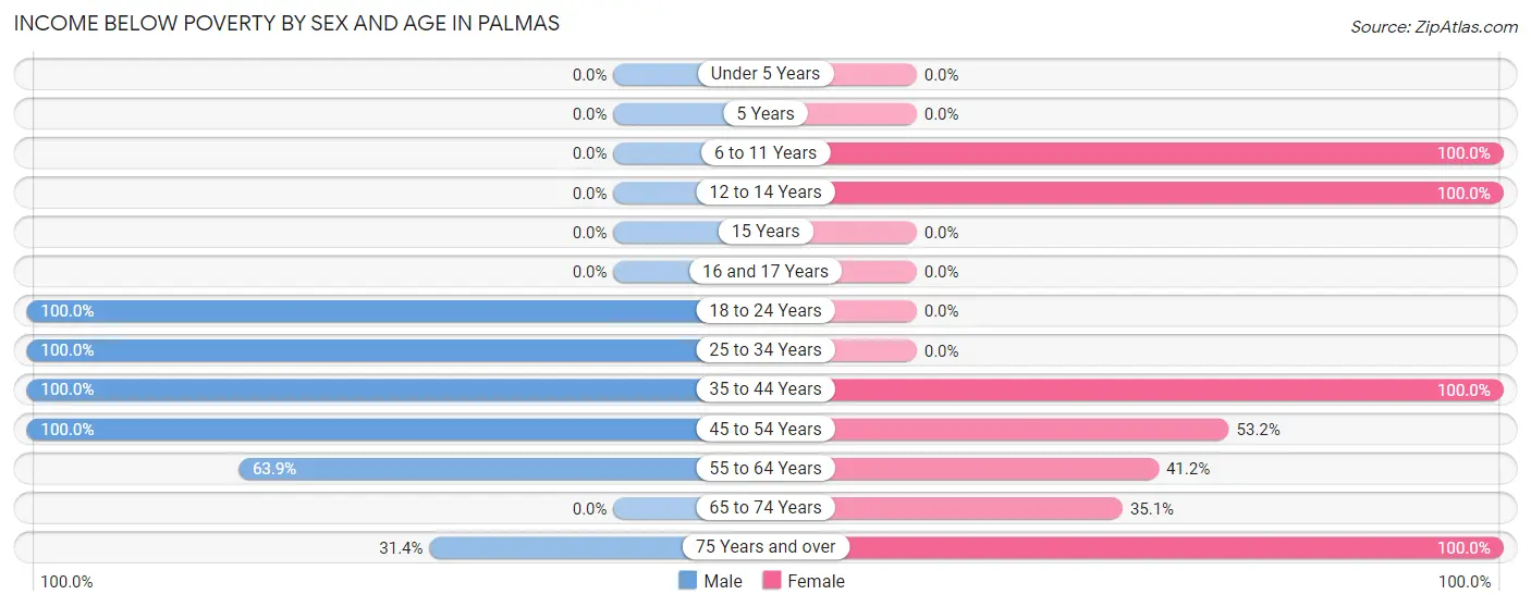 Income Below Poverty by Sex and Age in Palmas