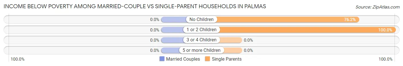 Income Below Poverty Among Married-Couple vs Single-Parent Households in Palmas