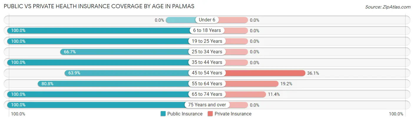 Public vs Private Health Insurance Coverage by Age in Palmas
