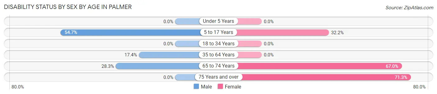 Disability Status by Sex by Age in Palmer