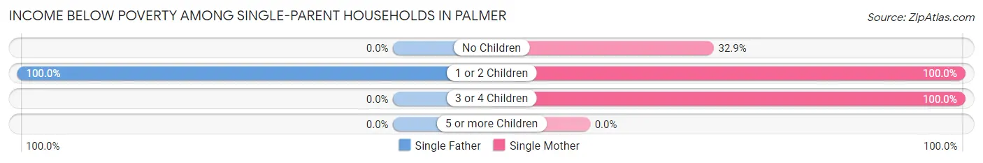 Income Below Poverty Among Single-Parent Households in Palmer