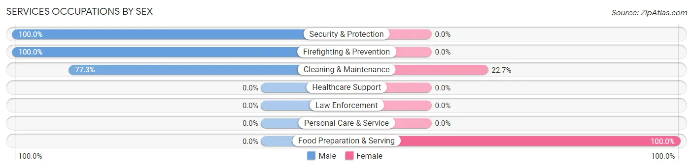 Services Occupations by Sex in Palo Seco