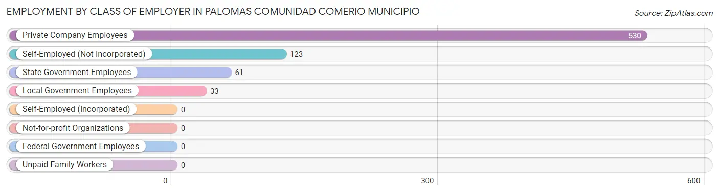 Employment by Class of Employer in Palomas comunidad Comerio Municipio