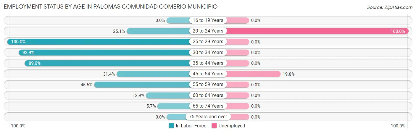 Employment Status by Age in Palomas comunidad Comerio Municipio